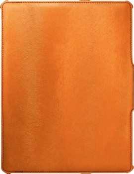 Чехол для iPad 2/3/4 Viva Madrid Poni Energetic Orange